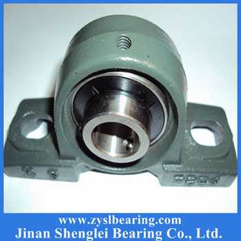 Insert bearing with housing